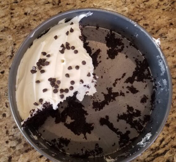 Recipe Finds – Chocolate Cake Pan Cake